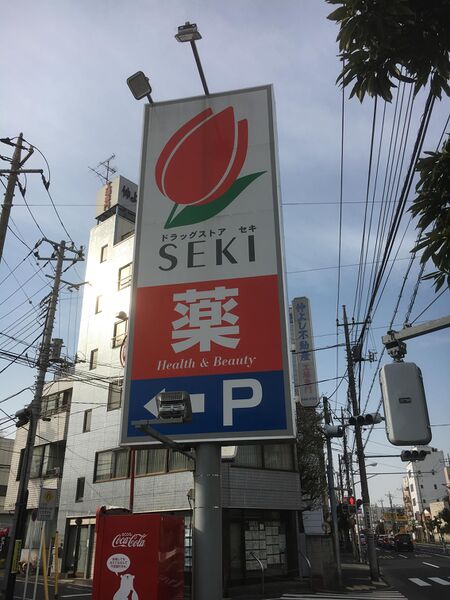 ファイル:関地 ドラッグストアセキ2.jpg
